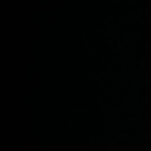 Meet your Posher, Susanna